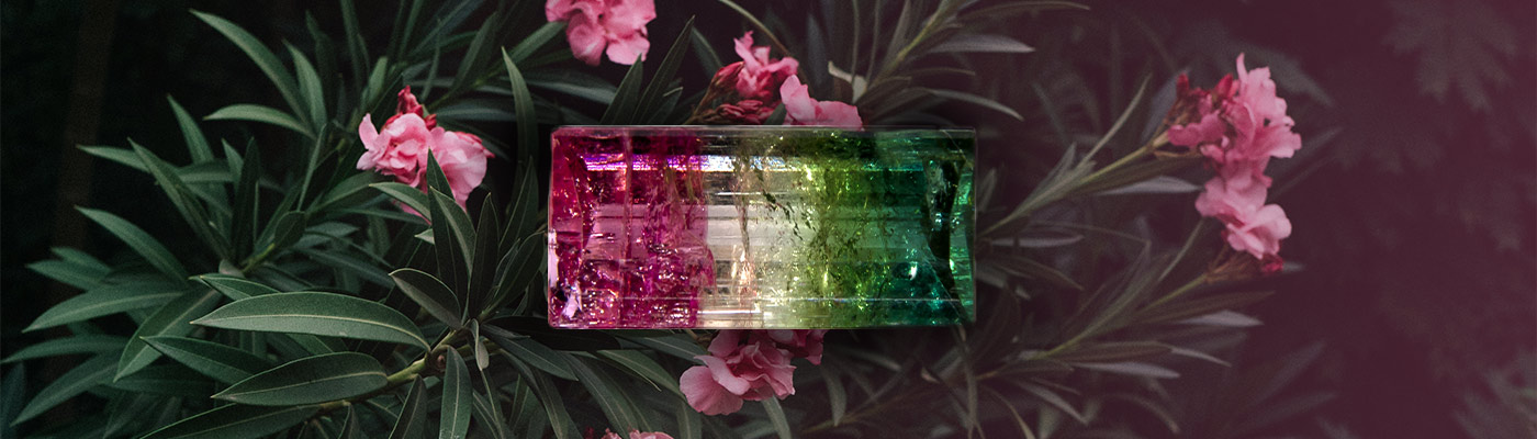 Pink and sale green tourmaline